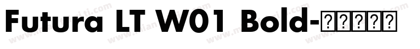 Futura LT W01 Bold字体转换